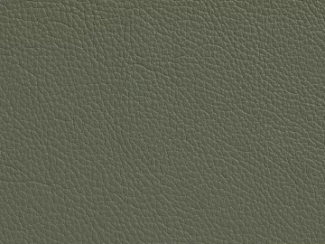 Coarse-grain leather texture (ID:ffach114936)