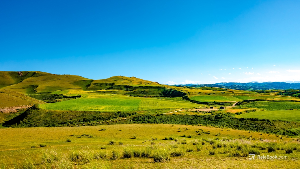 Wild Scenery texture