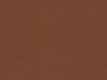Leather texture (ID:ffach657263)