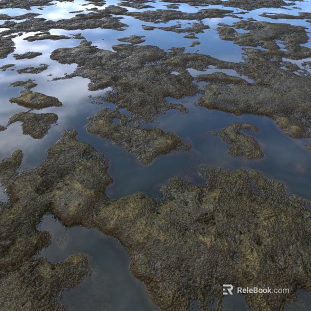Wetland PBR texture
