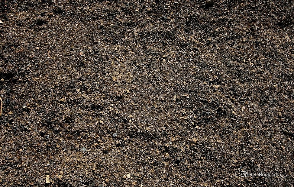 Sand texture