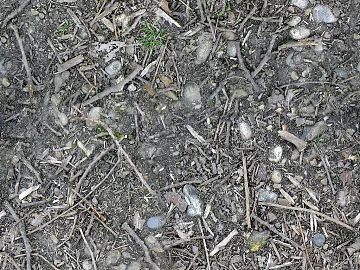 Grassland texture (ID:ffach930274)