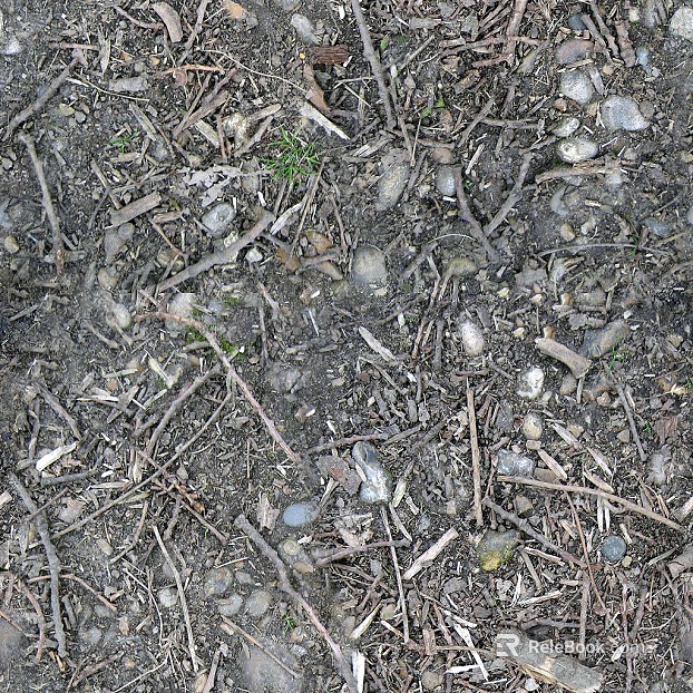 Grassland texture