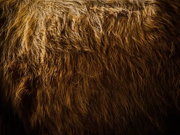 animal fur texture (ID:ffabg43262)