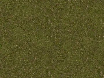 Turf 3d model