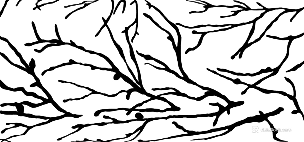 Highlight Mask texture