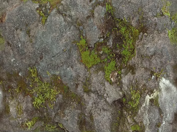 Rock Stone Limestone texture (ID:ffaag26467)
