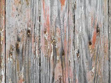Wooden panel texture (ID:ffagg61258)