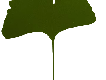 leaves texture (ID:ffagg98248)