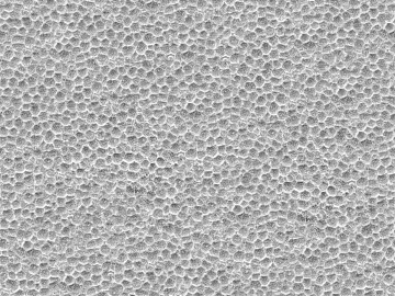 White foam texture (ID:ffaeh299917)