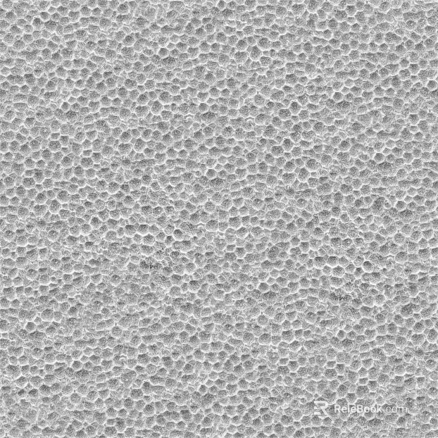 White foam texture texture
