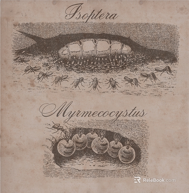 decorative painting texture