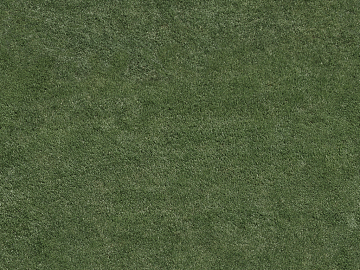 Turf texture (ID:ffaeg81777)