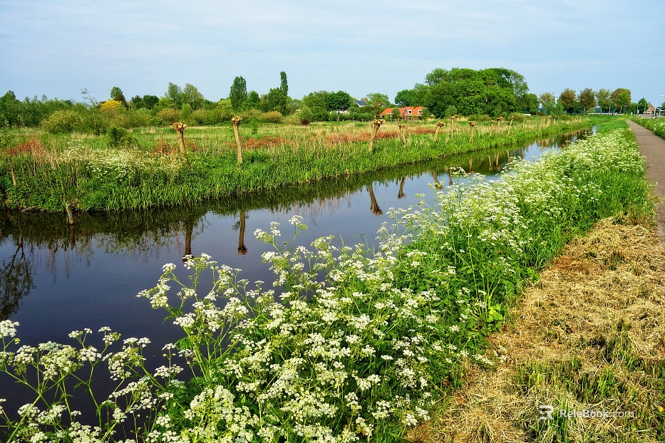 Country Exterior Nature Exterior texture