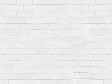 Brick wall texture (ID:ffaeg65485)