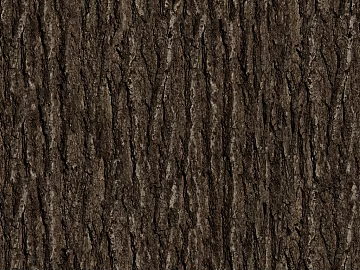 bark texture (ID:ffabg86339)