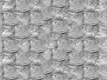 Black and White Bump texture (ID:ffaeg56334)