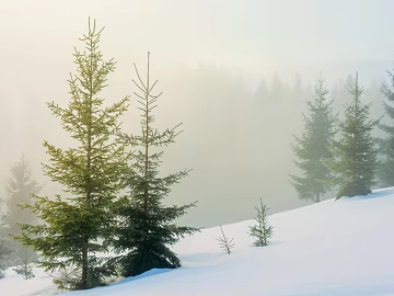 landscape painting texture (ID:ffajg07376)