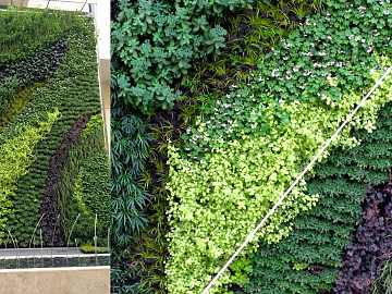 Plant wall texture (ID:ffagg65979)