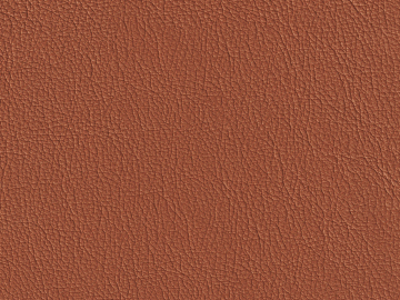 fine grain leather texture (ID:ffajg20662)