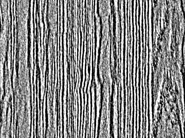 Black and White Bump texture (ID:ffajg95114)