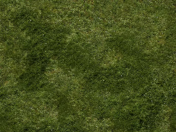 Turf 3d model