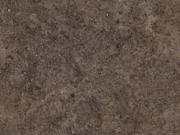 Sand texture (ID:ffajg88385)