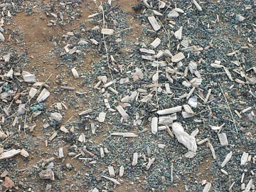 sawdust texture (ID:ffaag28352)