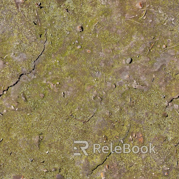 The image depicts a vast, wet mud ground, characterized by its dark, rich color and textured surface, dotted with small puddles reflecting the sky.