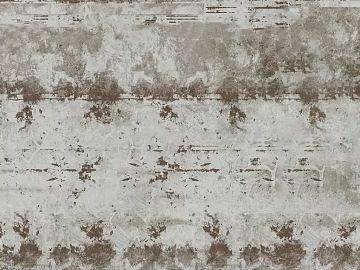 Vintage latex paint wall 3d model