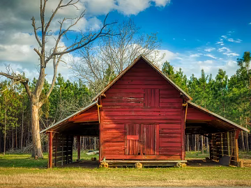 Window Exterior Outdoor Landscape Nature Exterior Rural Exterior Exterior Exterior texture (ID:ffach887235)