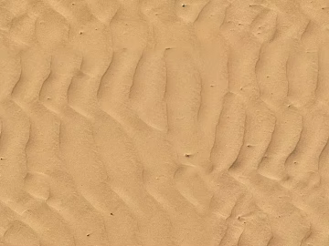 Beach Beach texture (ID:ffaaf6490)