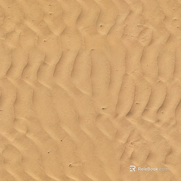 Beach Beach texture