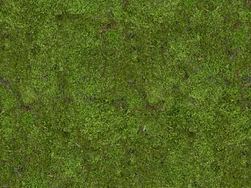 Turf texture (ID:ffach168016)