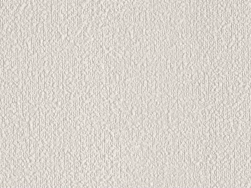 Off-white Texture Paint Interior Wall texture (ID:ffaeh567621)