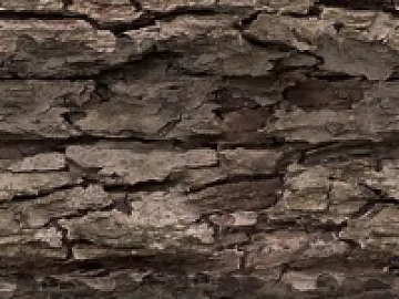Taupe Bark Texture Decorative Map 3d model