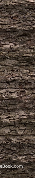 Taupe Bark Texture Decorative Map texture