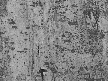 Black and White Bump texture (ID:ffajg85680)