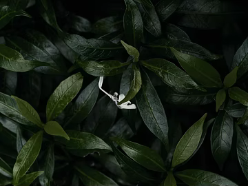plant pattern texture (ID:ffagg38475)