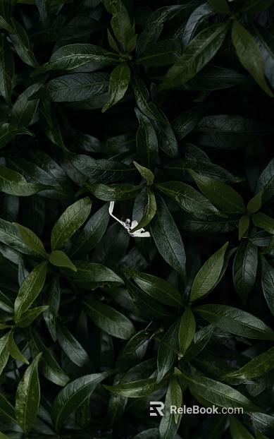 plant pattern texture