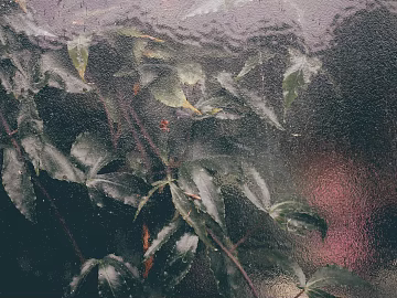 Plant painting texture (ID:ffaeg40083)