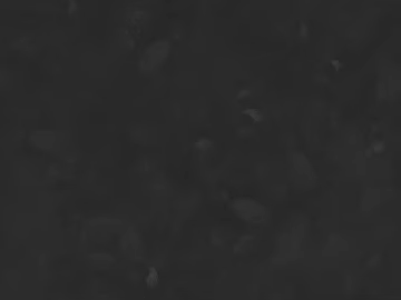 Highlight Mask texture (ID:ffaeg78638)