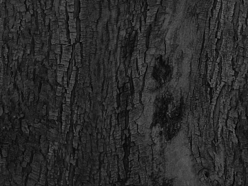 Black and White Bump texture (ID:ffaag30968)