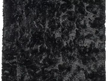 Carpet black and white map 3d model