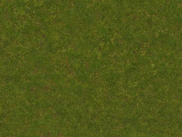 Turf texture (ID:ffach256386)