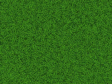 Turf texture (ID:ffaag19231)