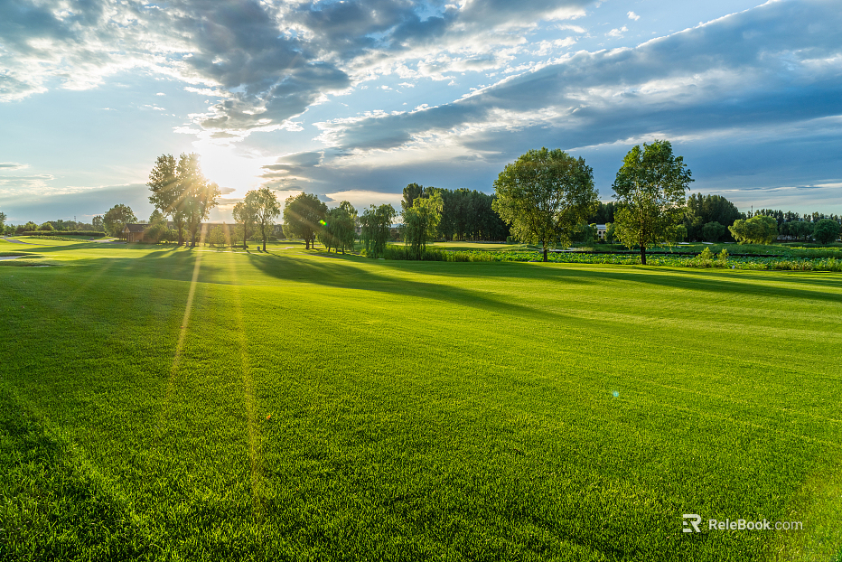 Wild Scenery texture
