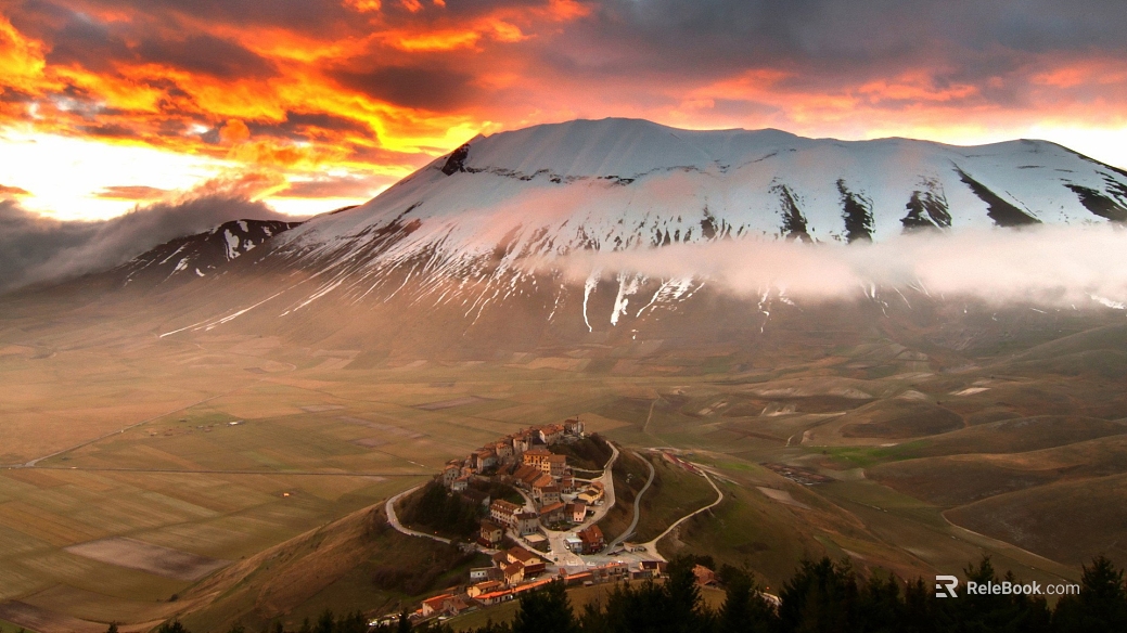 Wild Scenery texture