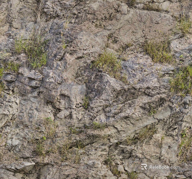 Culture stone long grass rock rubble texture