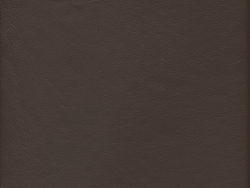 fine grain leather texture (ID:ffaeg15784)